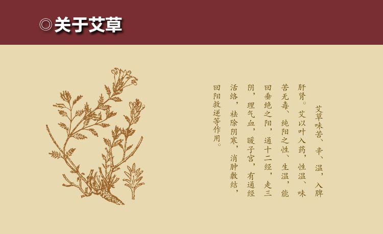 艾叶是一种非常常见的中药材,据《本草纲目》记载,艾叶味辛,苦,性温