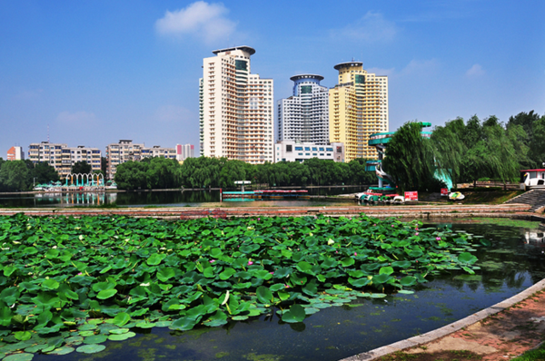 万柳塘公园——盛京八景"柳塘避暑"