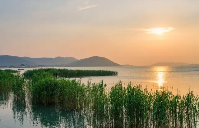 太湖美碧水西山旁芦苇映残阳