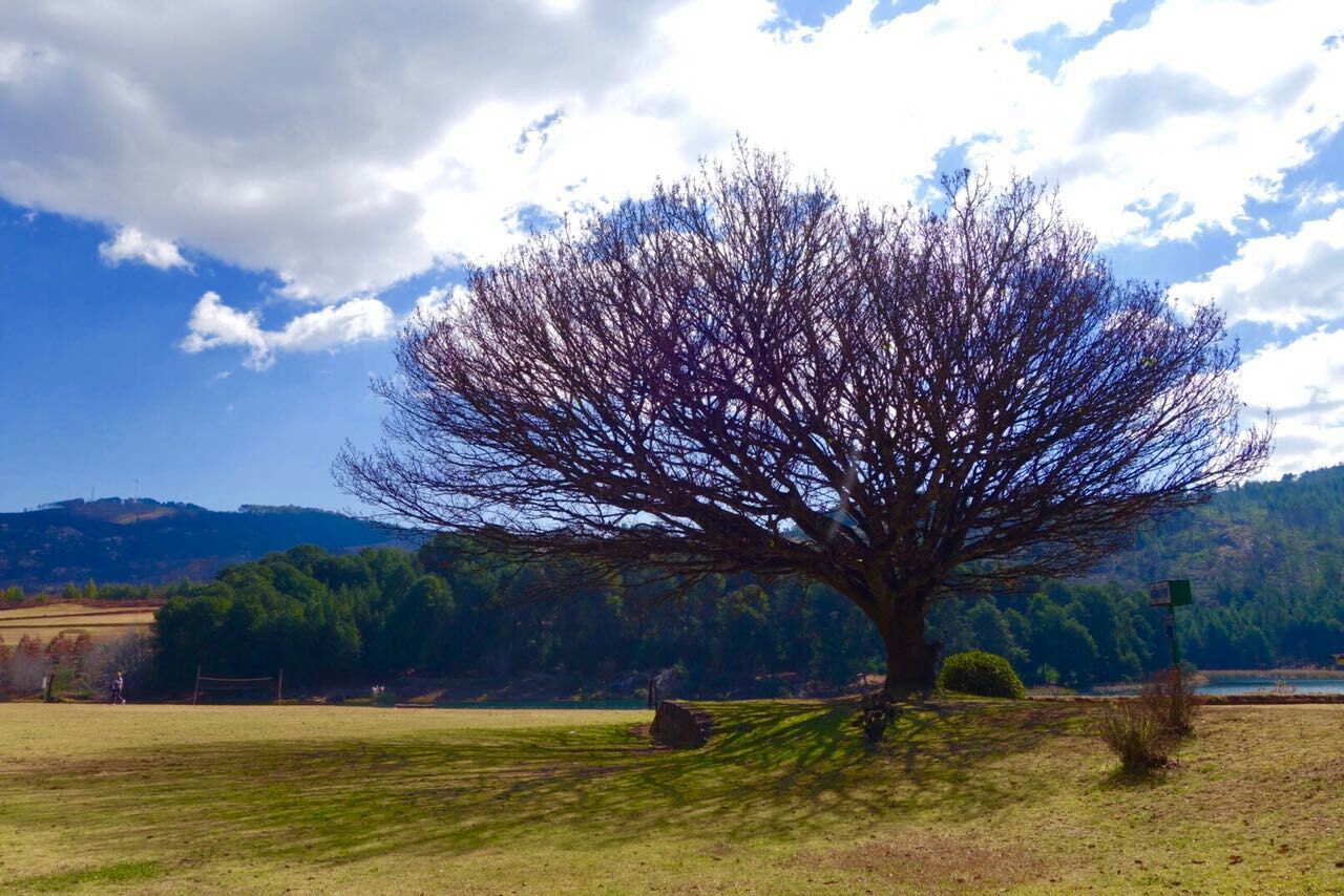 津巴布韦今日美景