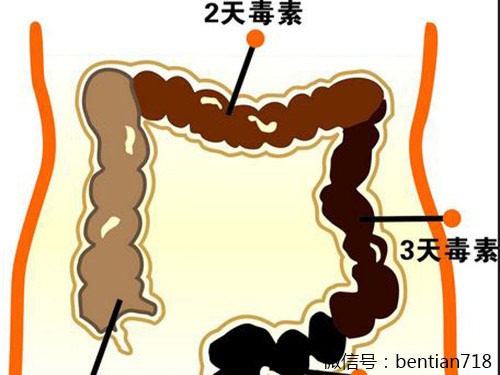 口吃的原理_口吃矫正器电路图(3)