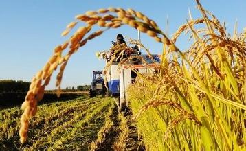 国家各项惠农政策支持 农业综合生产能力显著