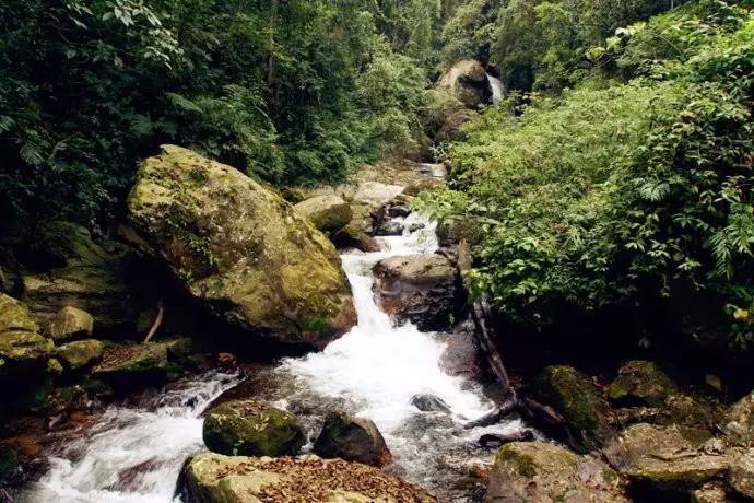 旅游 正文 在高黎贡山内保存有公元前四世纪著名的南方丝绸之路,这条