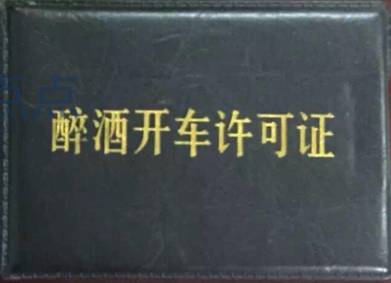 你是来搞笑的吗?高速交警拦查,酒驾司机竟掏出"醉酒开车许可证"