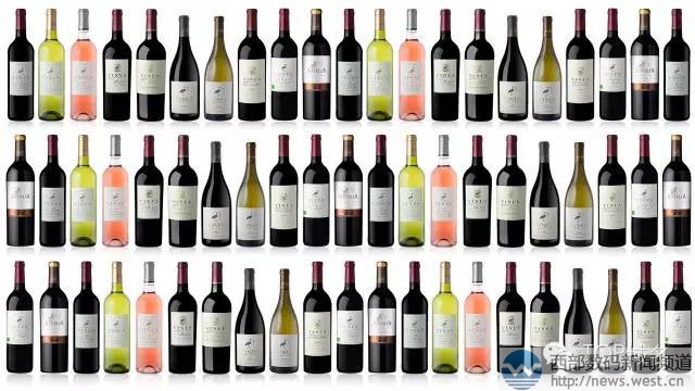 .top域名应用案例:法国红酒品牌用域名vinus.to