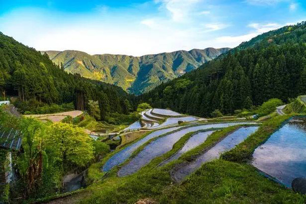 德岛县人口_日本德岛县地图