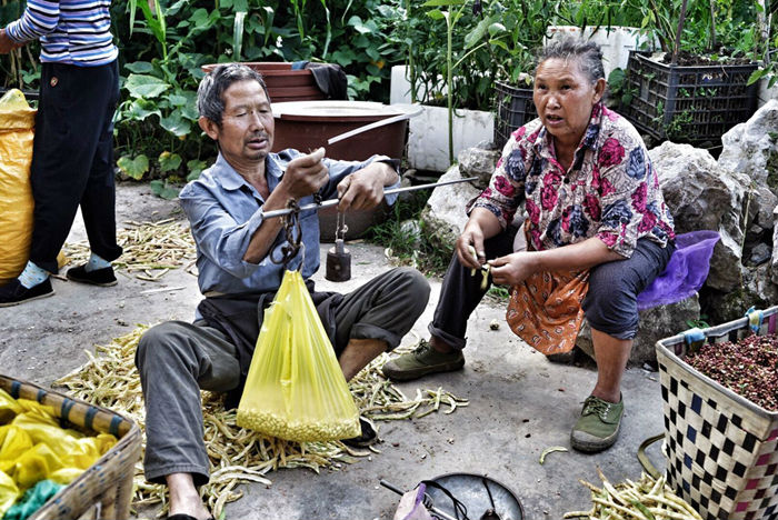 织金县有多少人口_织金菜市场,窥见市井中的人间百态