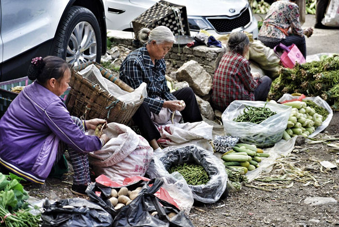 织金县有多少人口_织金菜市场,窥见市井中的人间百态