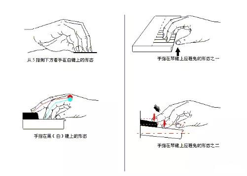 钢琴老师说"弹琴手指要立起来"到底该怎么做?