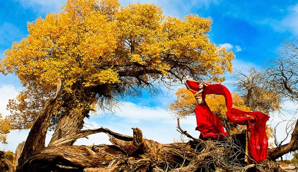 中国最美秋景--额济纳旗胡杨林