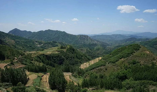 泰安市有多少人口_泰安站周围开辟临时停车场 旅客16日后走临时通道出站(3)