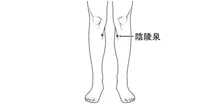 在阴陵泉穴的位置刮痧,可以起到内化湿邪的作用,还可健脾理气,通经