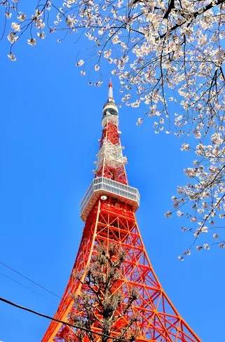 东京塔:我才不是没有温度的钢铁-搜狐旅游