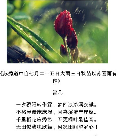 九首吟诵春雨的诗,哪首让你忘记外面的凄雨冷风?