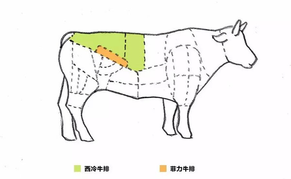 食谱  / 煎牛排的选料 / 一头牛可以吃的部位特别多,基本上全身都是宝