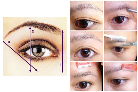 初学化妆眉毛要怎么修才画的好看