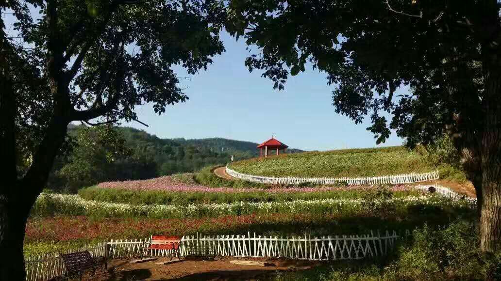 宜君县南山公园花溪谷邀您赏花了