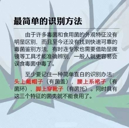 巩义人口有多少人口_大河网网友眼遇巩义水道口 感受 美丽乡村 新风貌(2)