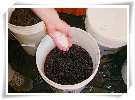葡萄酒侦探所:葡萄酒为什么必须添加二氧化硫