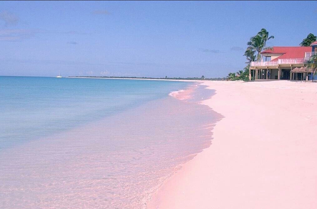 世界上唯一的一处粉色沙滩，分分钟让你少女心爆棚-搜狐