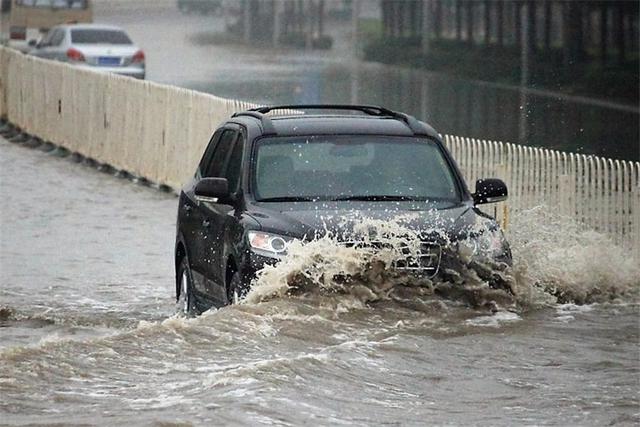 台风天的乌鸦嘴,万一汽车被水泡了该怎么办?