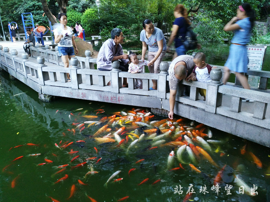 "竹园三大钵"位于涪陵易家坝御座名邸底楼,靠近易家坝广场赏鱼池