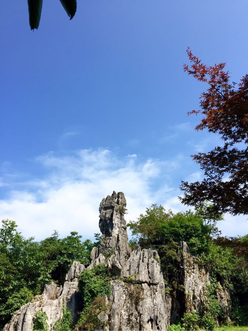 华蓥摄友带来一波美丽的华蓥山风景美图