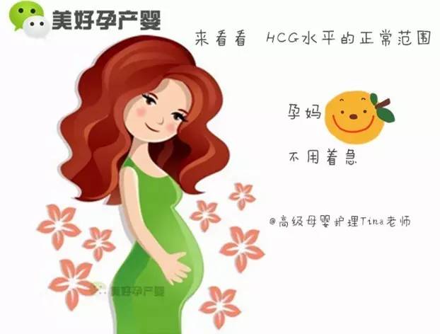 孕妈别着急 hcg值到底说明了什么?