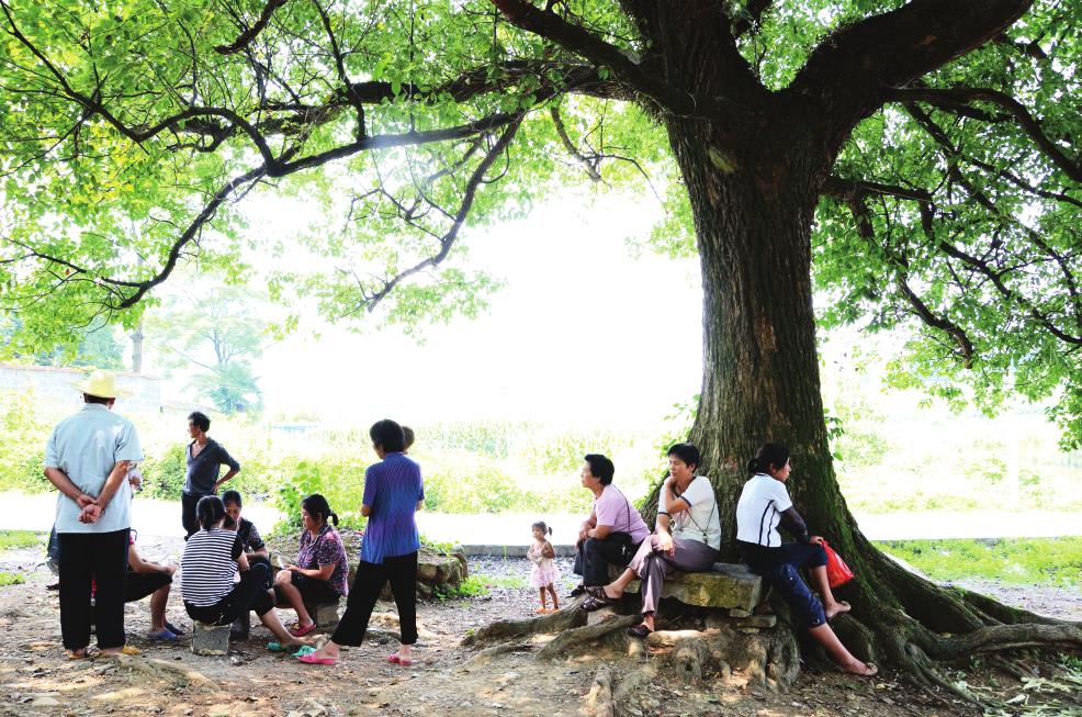 酷暑来了,农村人这样避暑