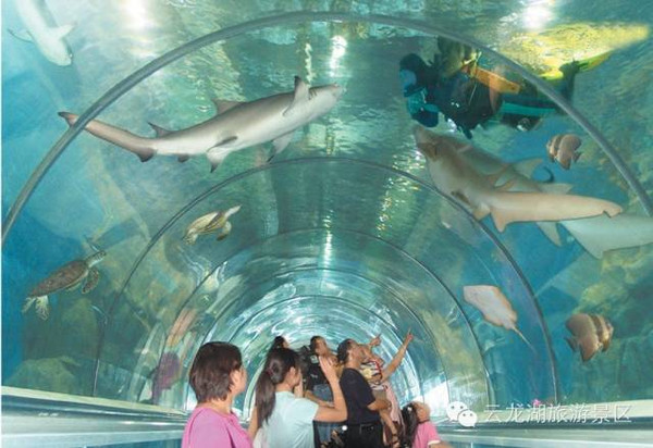 云龙湖水族展览馆是集水族观赏,海洋动物表演,海洋动物标本展示及科普