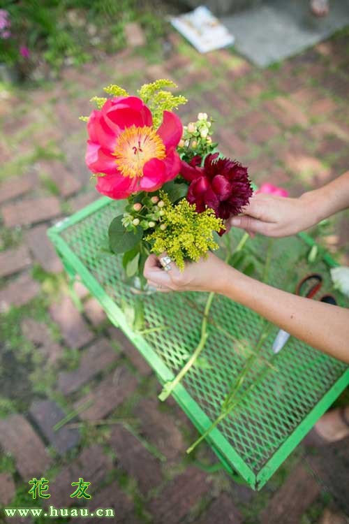 鲜花养护_鲜花养护保鲜法_鲜花养护小知识/