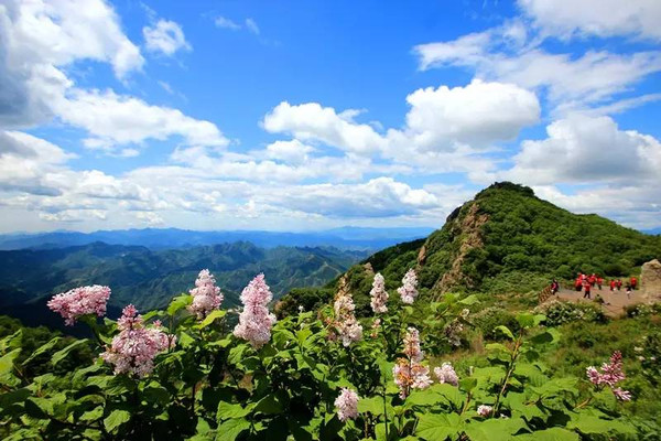 野三坡简谱_野三坡景区