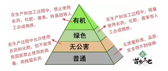 人口理论_马克思的相对过剩人口理论