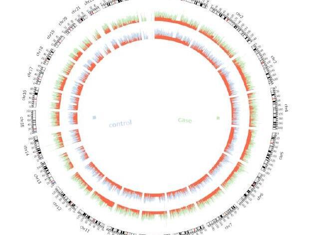 rna,circrna) 是区别于传统线性rna的一类新型rna,具有闭合环状结构