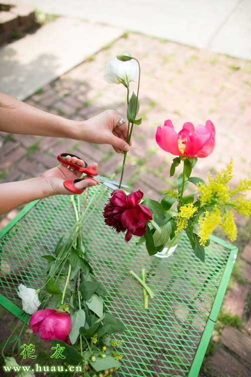 鲜花养护小知识_鲜花养护保鲜法_鲜花养护