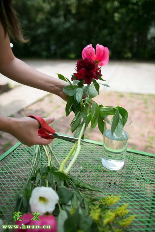 鲜花养护小知识_鲜花养护保鲜法_鲜花养护