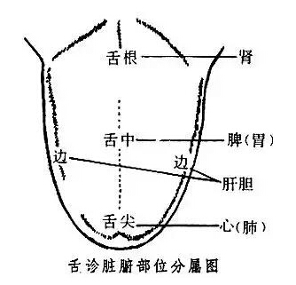 中医舌诊,老中医独到经验分享