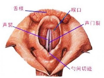 慢性咽炎最佳治疗七问方可调养根治