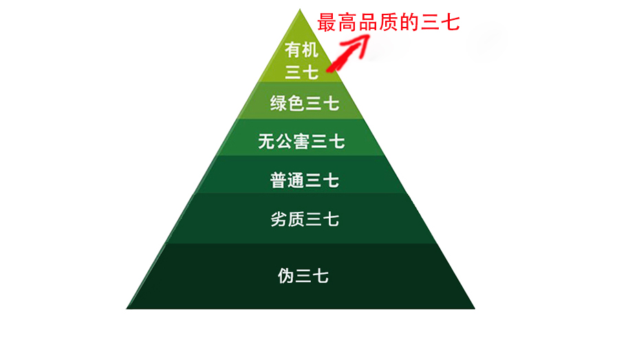 三七粉多少錢一斤和辨別方法