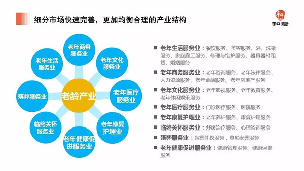 中国健康养老产业年度报告-世联行(002285)-股