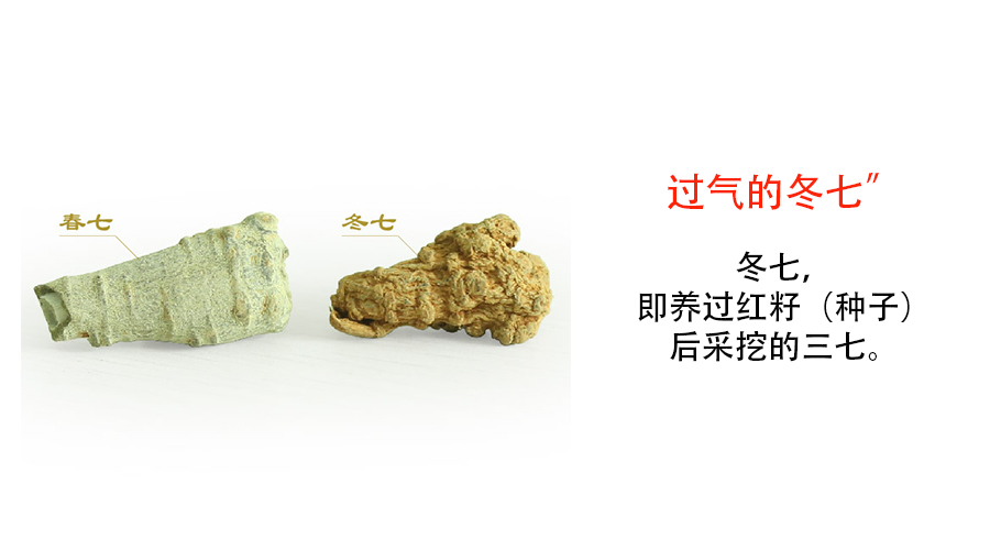 三七粉多少錢一斤和辨別方法