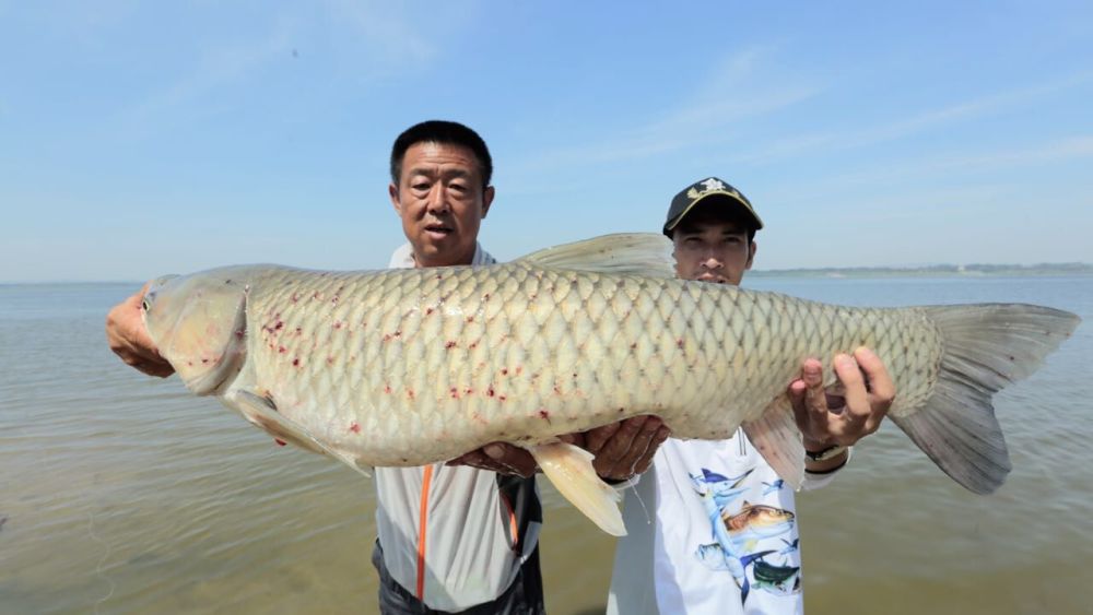 游钓中国第二季红山湖中寻大鲤