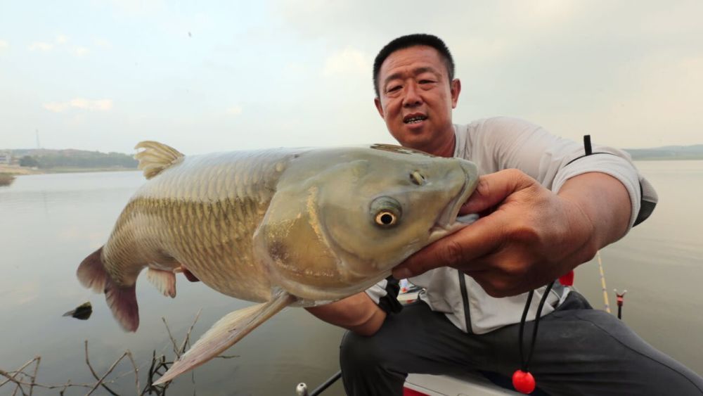 游钓中国第二季红山湖中寻大鲤