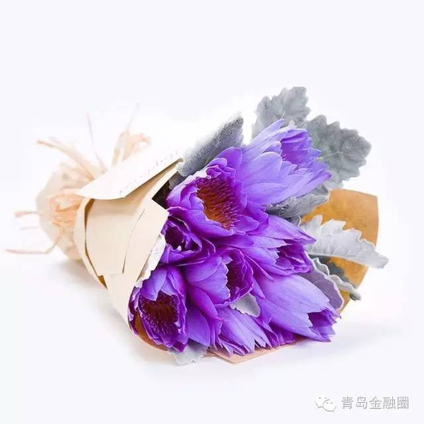 紫色睡莲的花语是梦幻,纯洁,好运 既送了礼物还赞美了女票