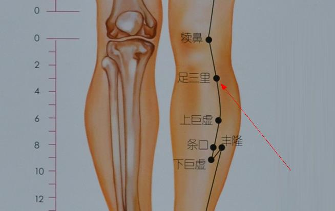 阳虚体质的辩证艾灸法