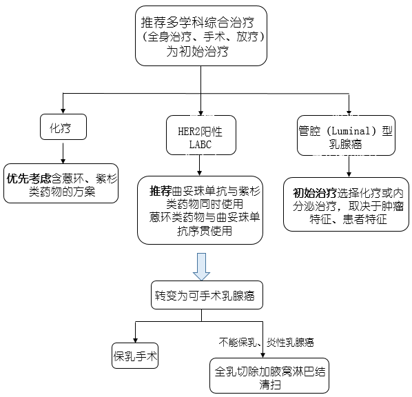 诊治晚期乳腺癌,你还差这几张流程图