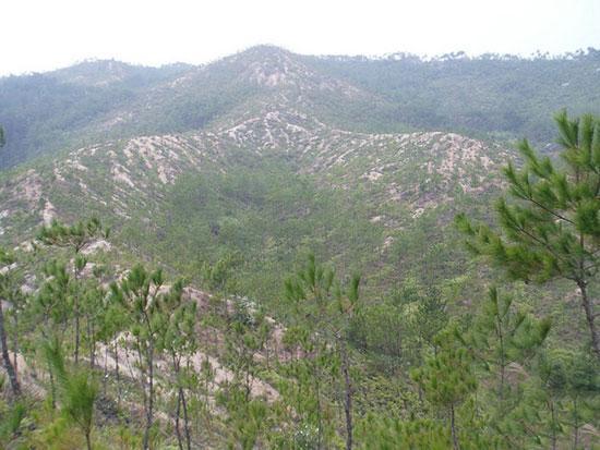 坟地风水影响子孙后代_墓地风水100例图解_下面是有关坟地风水影响