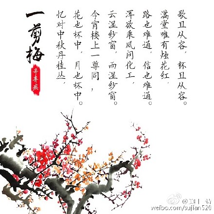 周一,来九首《一剪梅》 花自飘零水自流