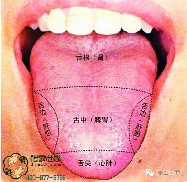 学点小儿舌诊,爸爸妈妈就会简单辩证了!