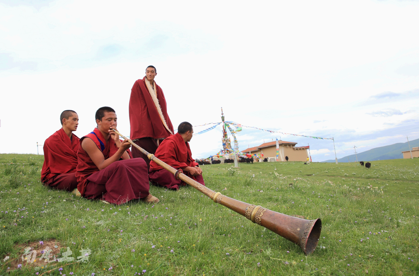 朗依寺山坡上吹铜钦的少年